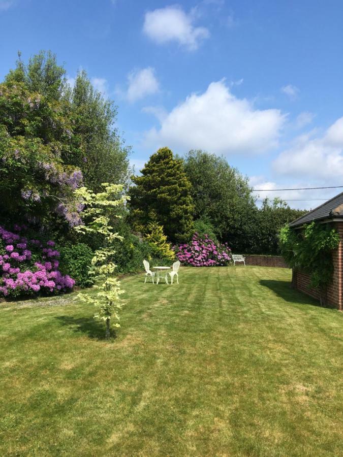 Oak Tree Cottage, Charming, Rural New Forest Home Boldre Exteriör bild